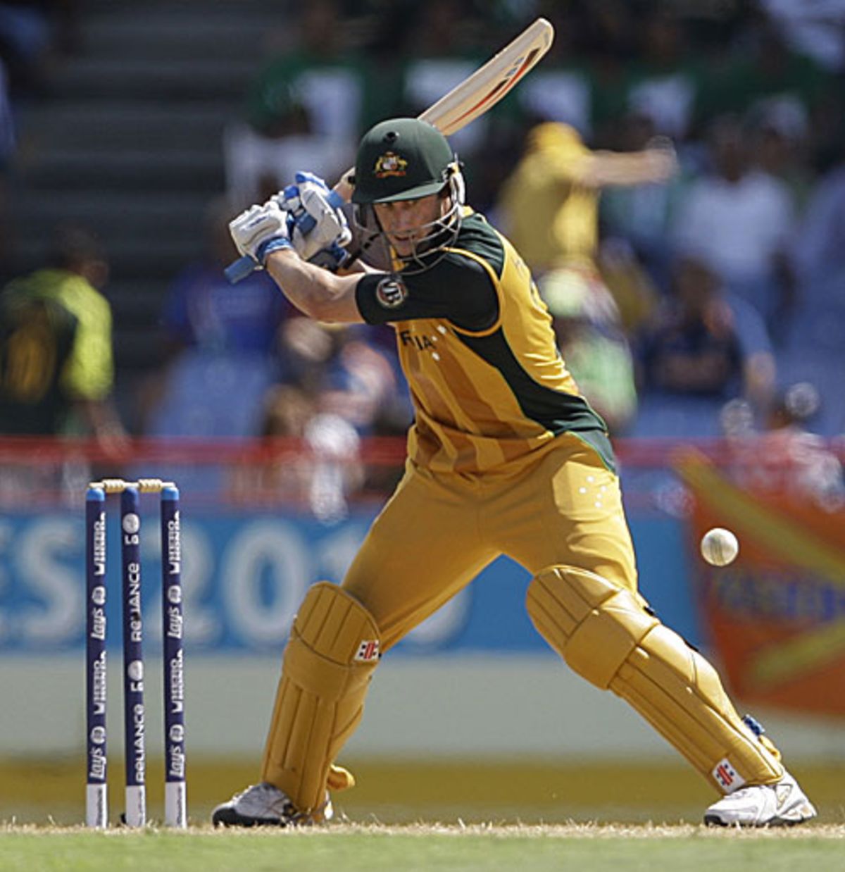 Mitchell Johnson And The Rest Celebrate A Strike ESPNcricinfo