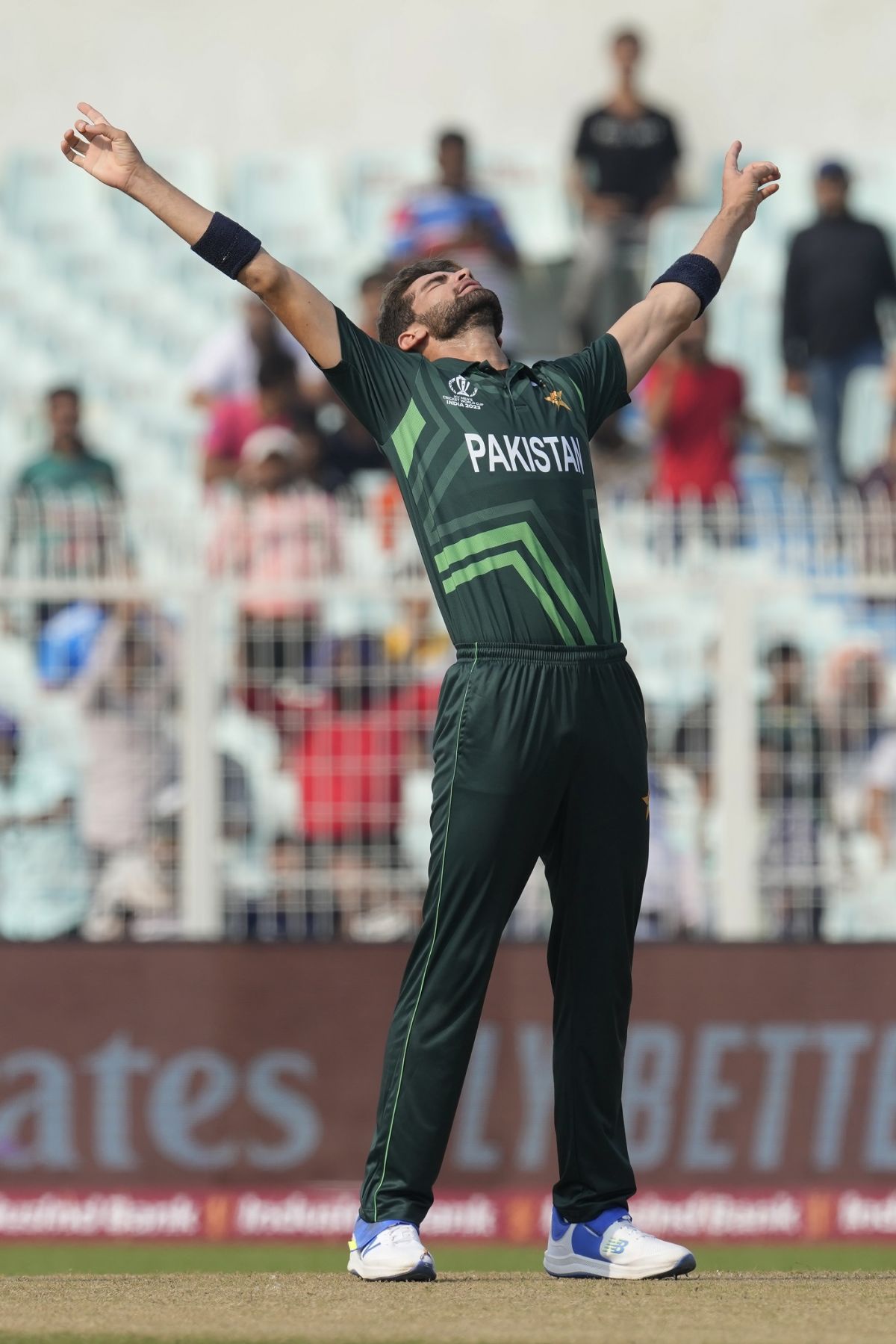 Shaheen Shah Afridi Is Ecstatic After Reaching 100 Wickets In ODIs