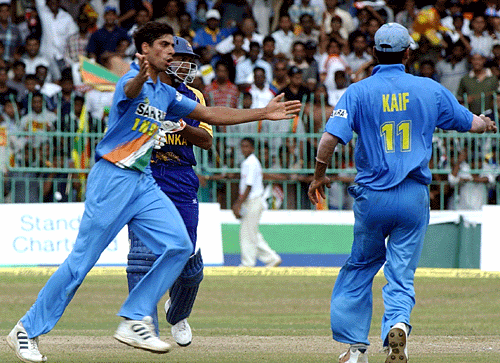 Ashish Nehra Is Overjoyed After Dismissing Kumar Sangakkara