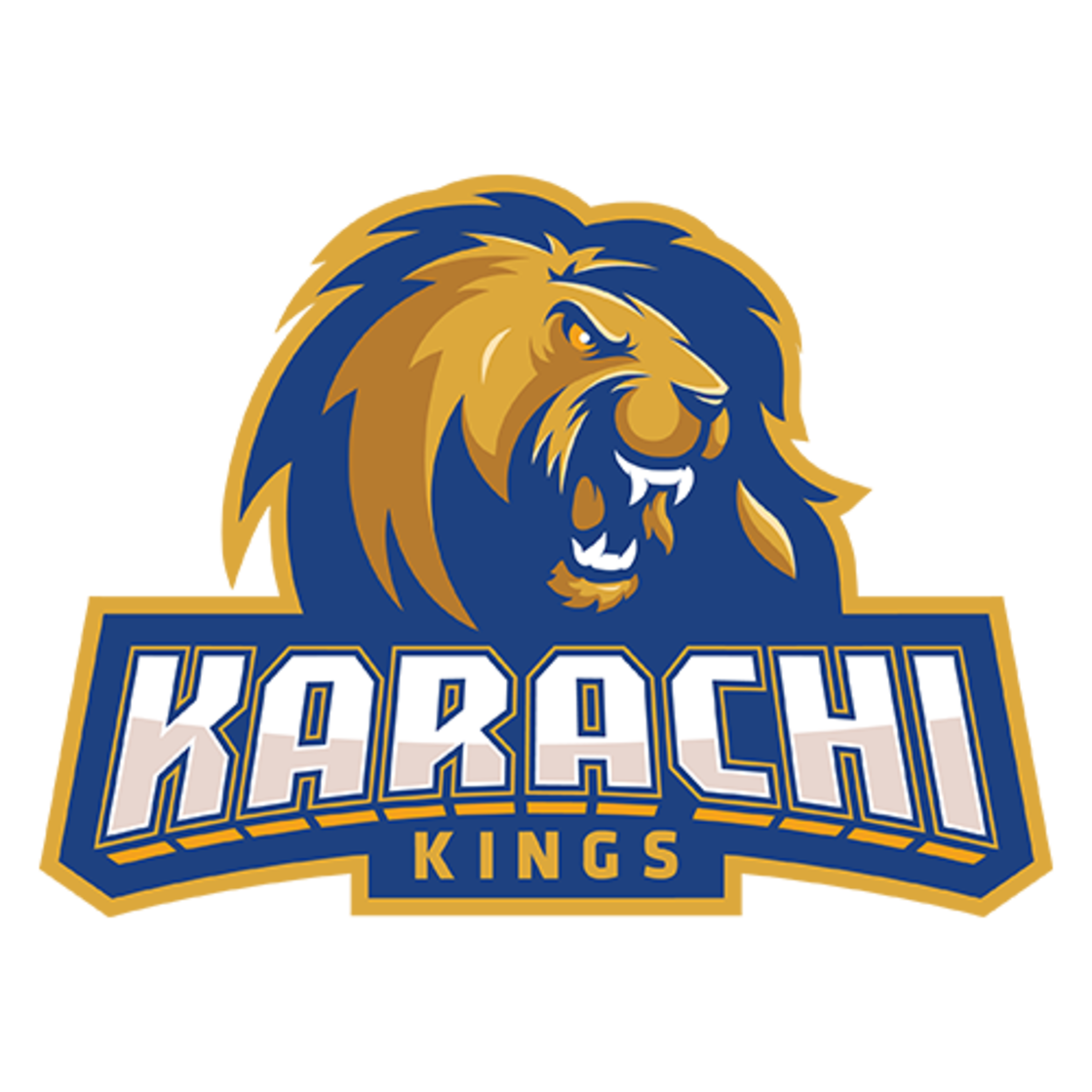 Karachi Kings logo