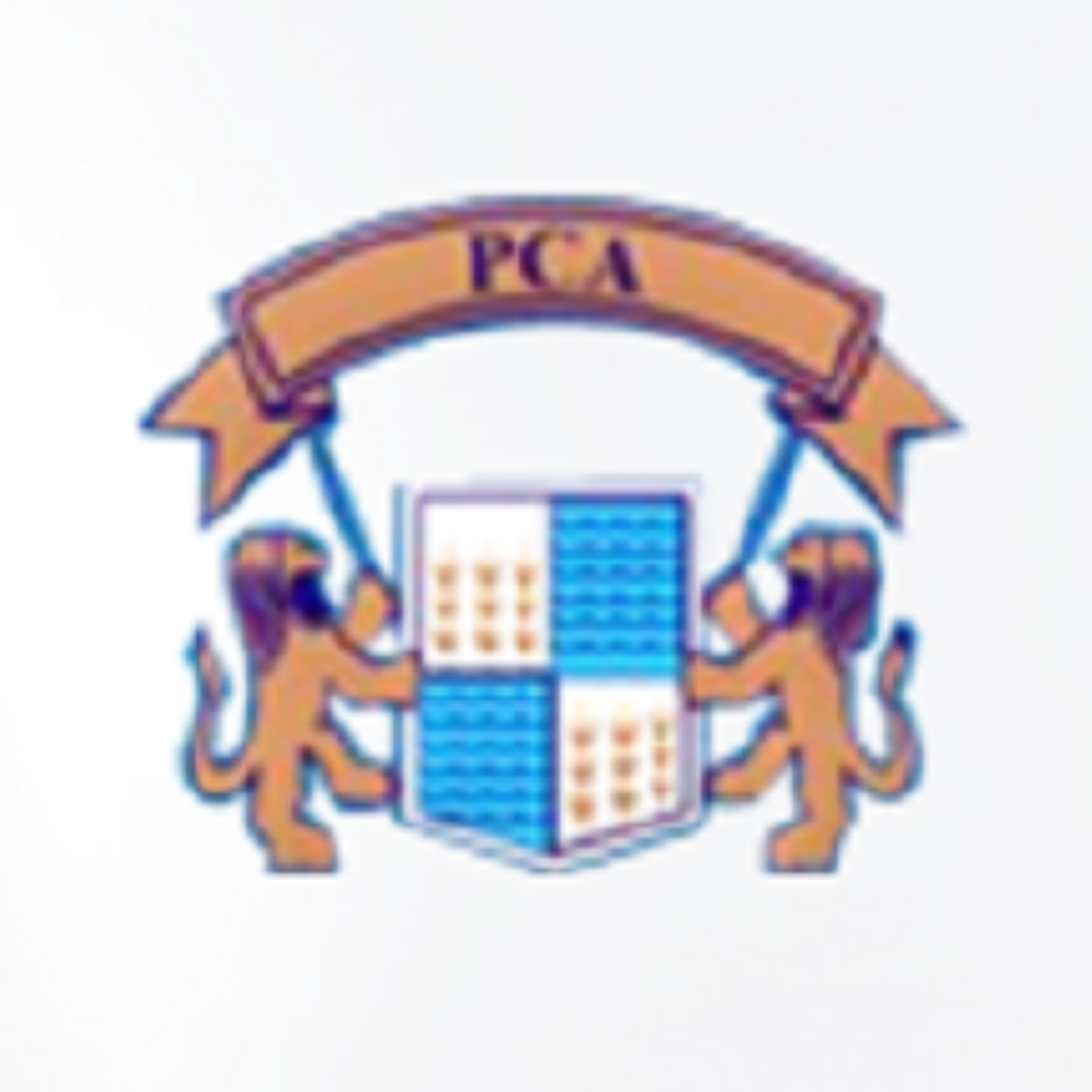 Punjab team logo