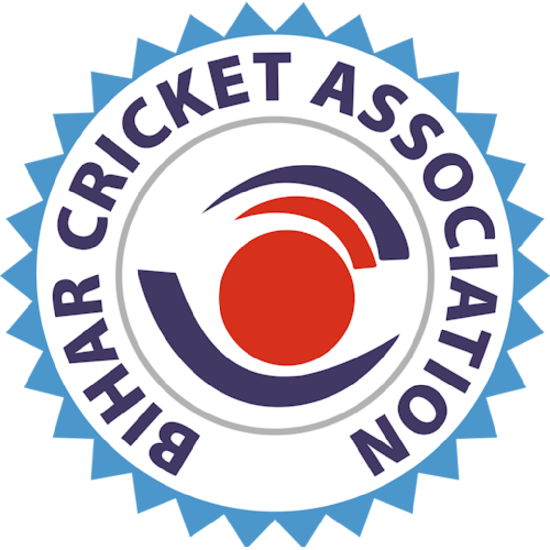 Bihar Cricket team logo