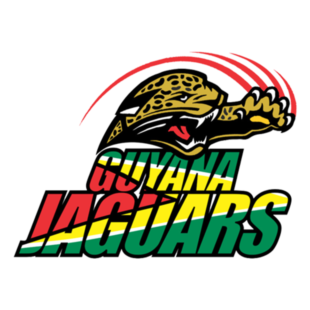 Guyana team logo