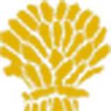 Check live score for Cheshire in Cheshire vs Herefordshire - 