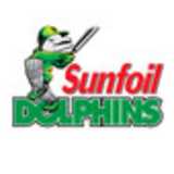 Check live score for Dolphins Academy in Dolphins Academy vs South Africa Under-19s - 