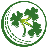 Check live score for Ireland in Ireland vs Scotland - 7th Match, Group B