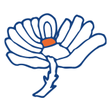 Check live score for Yorkshire in Derbyshire vs Yorkshire - 