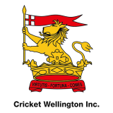 Check live score for Wellington in Central Districts vs Wellington - 17th Match