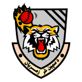 Check live score for Speen Ghar Tigers in Mis Ainak Knights vs Speen Ghar Tigers - 19th Match