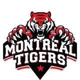 Check live score for Montreal Tigers in Mississauga Panthers vs Montreal Tigers - 6th Match