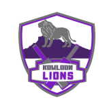 Check live score for Kowloon Lions in New Territories Tigers vs Kowloon Lions - 2nd Match