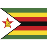 Check live score for Zimbabwe in Bermuda vs Zimbabwe - Final