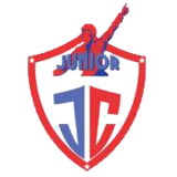 Check live score for Junior Champions in Hindukush Strikers vs Junior Champions - 5th Match