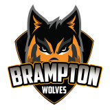 Check live score for Brampton Wolves in Brampton Wolves vs Mississauga Panthers - 16th Match