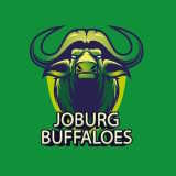 Check live score for Johannesburg Buffaloes in Johannesburg Buffaloes vs Cape Town Samp Army - 8th Match