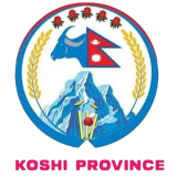 Check live score for Koshi Province Women in Koshi Province Women vs Tribhuwan Army Club Women - 15th Match, Group B