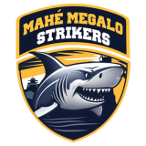 Check live score for Mahe Megalo Strikers in Villianur Mohit Kings vs Mahe Megalo Strikers - Final