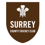 Check live score for Surrey in Surrey vs Middlesex - South Group