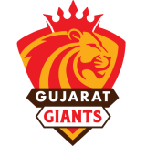 Gujarat Giants Flag