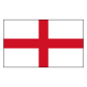 Eng Lions