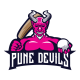 Pune Devils