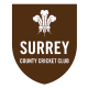Surr 2nd XI