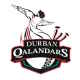 Qalandars