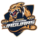 Jaguars