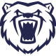 Bears