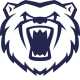 Bears