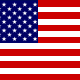 United States of America XI Flag