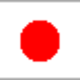 Japan Women Flag