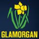 Glamorgan 2nd XI Flag