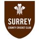 Surrey 2nd XI Flag
