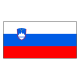 SVN Flag