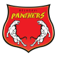 Belagavi Panthers Flag