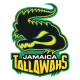 Jamaica Tallawahs Flag
