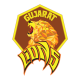 Gujarat Lions Flag