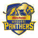 Siechem Madurai Panthers Flag