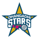 Dhangadhi Team Chauraha Flag
