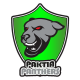 Paktia Panthers Flag