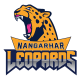 Nangarhar Leopards Flag