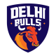 Delhi Bulls Flag