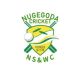 NSWC Flag