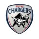 Deccan Chargers Flag