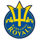 Barbados Royals Flag