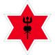 Tribhuwan Army Club Flag