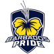 Barbados XI Flag