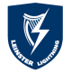 Leinster Lightning Flag