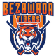 Bezawada Tigers Flag